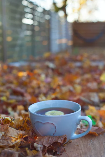 Tee Und Herbstblätter — Stockfoto