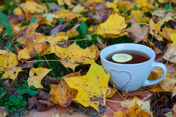 Tasse Tee Und Herbstblätter — Stockfoto