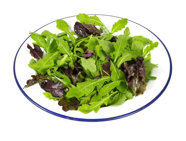 Salade Blaadjes Plaat — Stockfoto