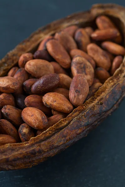 Granos Cacao Una Mesa — Foto de Stock