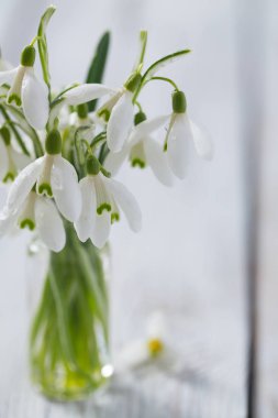 kardelen ahşap yüzey üzerinde