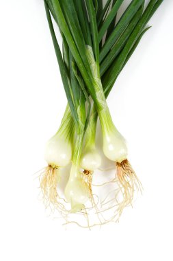 soğan izole arka plan