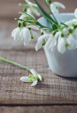 kardelen ahşap yüzey üzerinde