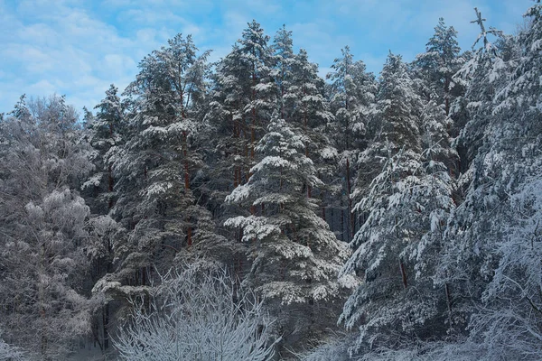 Winterlandschaft Einem Sonnigen Tag — Stockfoto