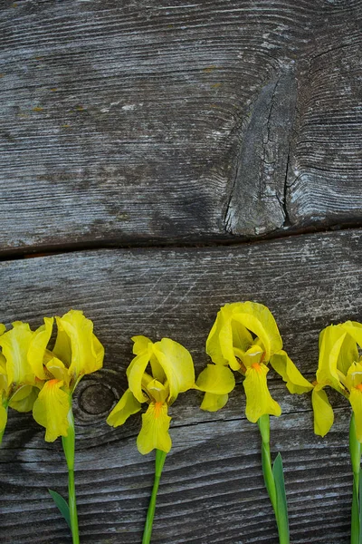 Желтые Ирисы Деревянной Поверхности — стоковое фото
