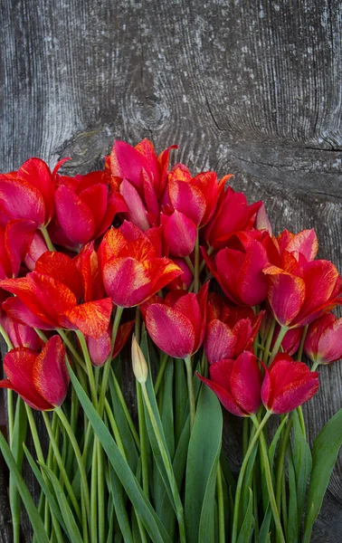 Hermosos Tulipanes Frescos Superficie Madera Rústica — Foto de Stock