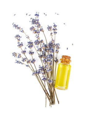 Beyaz lavanta yağı izole edilmiş.