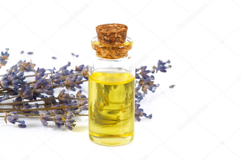 lavender oil isolated on white