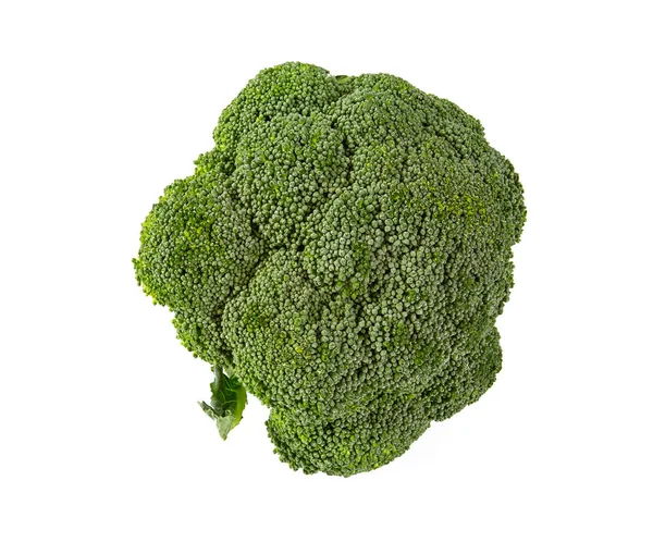 Beyaz üzerine izole edilmiş taze brokoli. — Stok fotoğraf