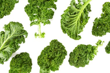 kale isolated on white clipart