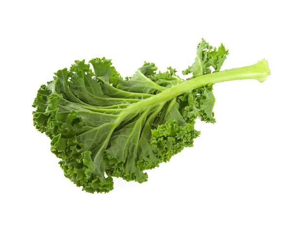Kale Isolated White — Stock Photo, Image