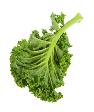 kale isolated on white clipart