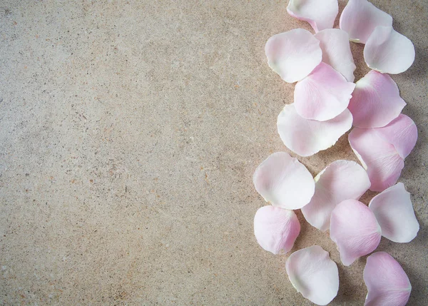 Roze Roos Bloemblaadje Granieten Oppervlak — Stockfoto