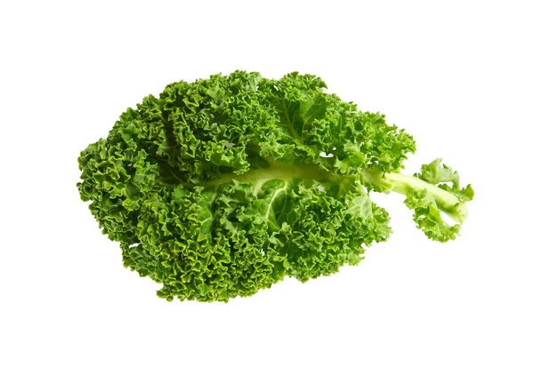 Kale Isolated White — Stock Photo, Image