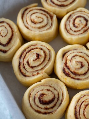 çiğ tarçın rulo görünümü