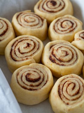 çiğ tarçın rulo görünümü