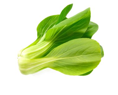 Beyaz arka planda taze pak choi lahanası