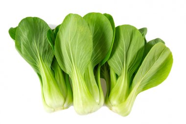 Beyaz arka planda taze pak choi lahanası