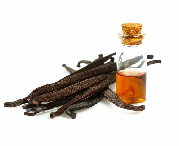 Vanilla Extract Isolated White — Stock Photo, Image