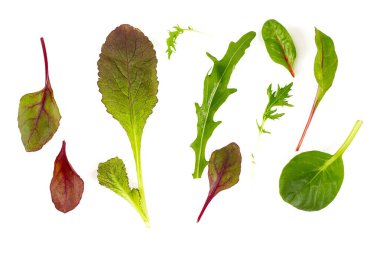 marul karışımı beyaz arkaplanda izole edildi