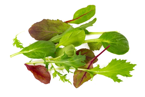 Mezcla Lechuga Aislada Sobre Fondo Blanco — Foto de Stock