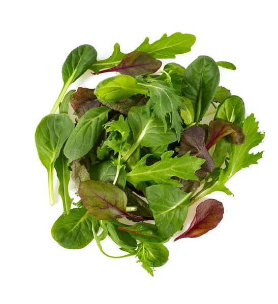Lettuce Mix Isolated White Background — Stock Photo, Image