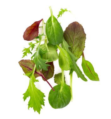 marul karışımı beyaz arkaplanda izole edildi