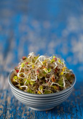 ahşap yüzeyüzerinde turp mikropları