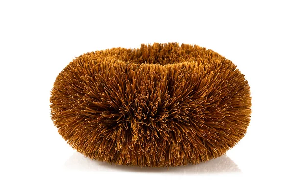 Brown Natural Coconut Fiber Brush — Stockfoto