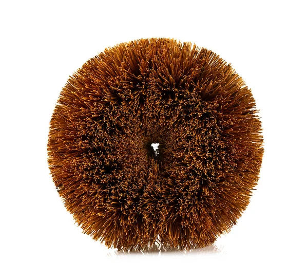 Brown Natural Coconut Fiber Brush — Stockfoto