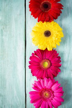 Ahşap yüzeyde gerbera çiçeği