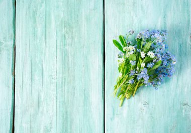 Taze mavi demet beni unutun çiçek değil