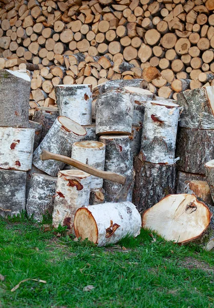 Troncos de madera de abedul — Foto de Stock