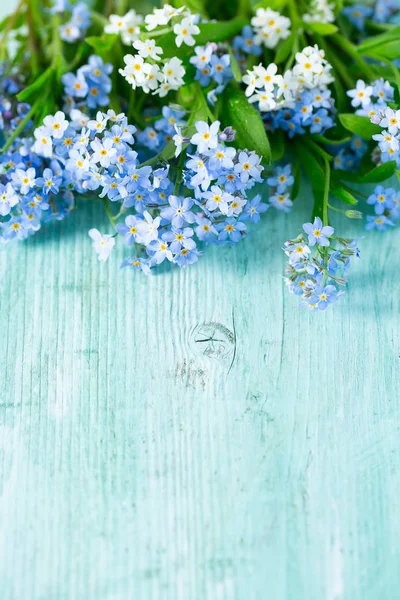 Ένα μάτσο φρέσκο μπλε ξεχνάμε δεν λουλούδι — Φωτογραφία Αρχείου