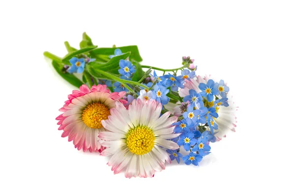 Bouquet of summer flowers — Stock Photo, Image