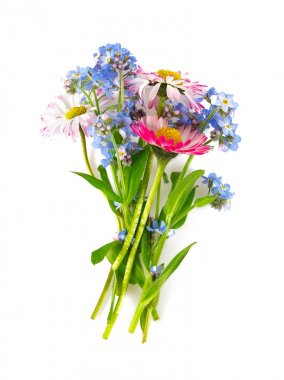 bouquet of summer flowers clipart
