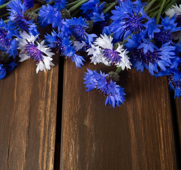 Βότανο μπλε καλαμπόκι σε ξύλινη επιφάνεια — Φωτογραφία Αρχείου
