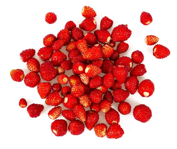 Wild strawberries isolated on white — Stock Photo, Image