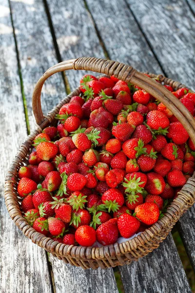 Cesta llena de fresas en un hermoso jardín — Foto de Stock