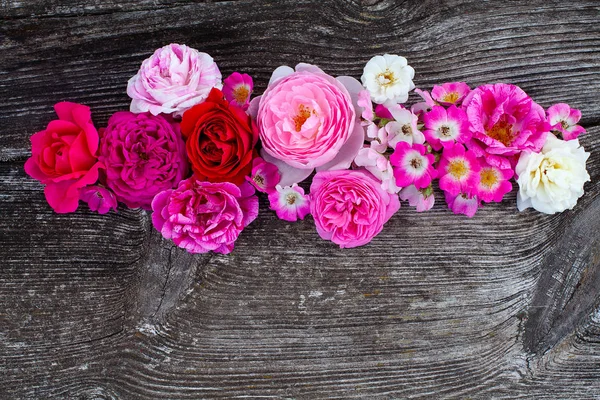 Ροζ, κόκκινο, βιολετί και λευκά τριαντάφυλλα σε ξύλινη επιφάνεια — Φωτογραφία Αρχείου