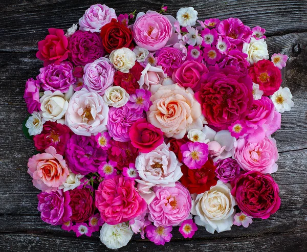 Růžové, červené, fialové a bílé růže na dřevěné ploše — Stock fotografie