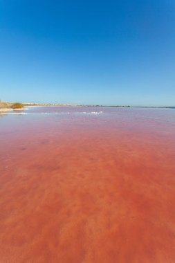 Kırmızı renkli denizi olan plajın manzara manzarası