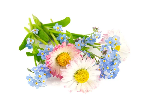 Bouquet of summer flowers — Stock Photo, Image