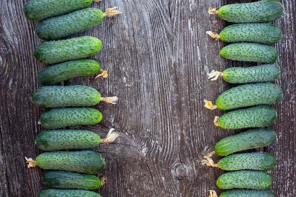 Verse komkommers op een donker houten oppervlak — Stockfoto