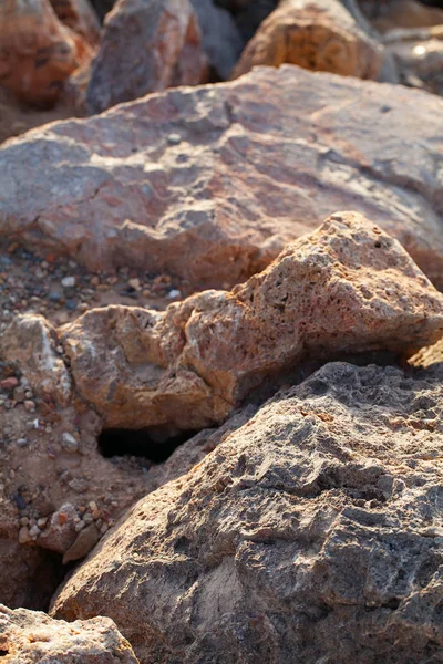 Kőgerinc a tengerparton — Stock Fotó