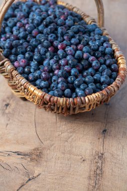 ahşap yüzeyüzerinde bir sepet içinde taze yaban mersini