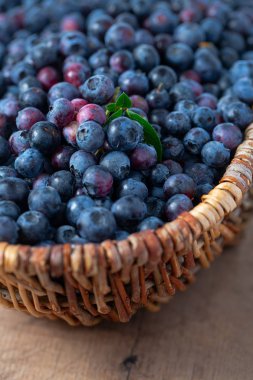 ahşap yüzeyüzerinde bir sepet içinde taze yaban mersini