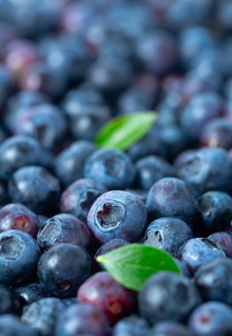 Taze yaban mersini arka plan olarak aldı