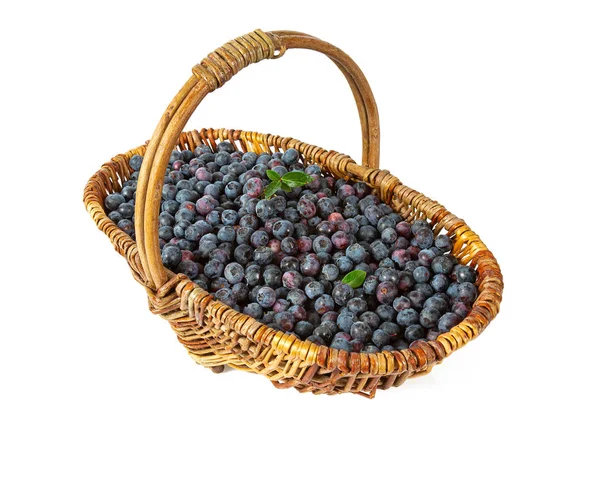 Fresh blueberries in a basket isolated on white background — Stock Photo, Image