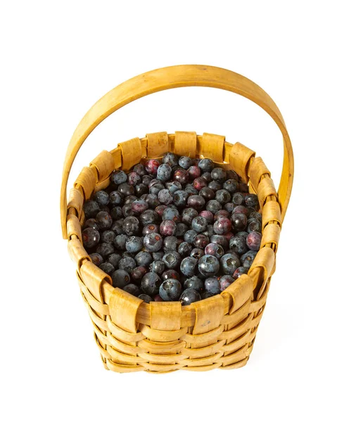 Fresh blueberries in a basket isolated on white background — Stock Photo, Image